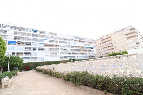 Apartamento en venta en Torrevieja (Alicante)