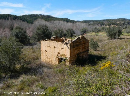  Finca en venta en Valderrobres (Teruel) 