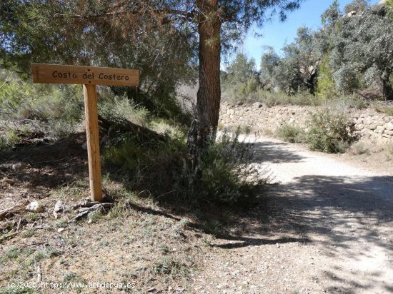 Finca en venta en Valderrobres (Teruel)