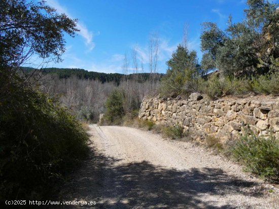 Finca en venta en Valderrobres (Teruel)