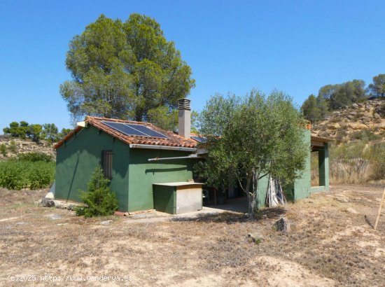  Finca en venta en Caspe (Zaragoza) 