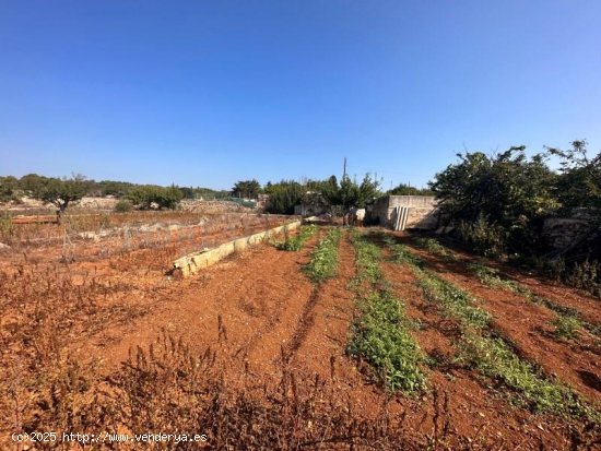 Parcela en venta en Sant Lluís (Baleares)