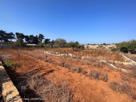 Parcela en venta en Sant Lluís (Baleares)