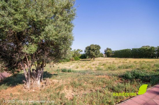 Solar en venta en Peralada (Girona)