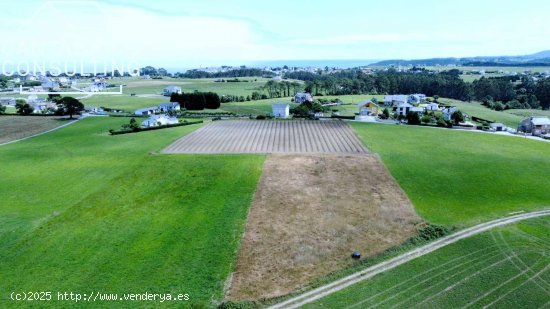 Parcela en venta en Coaña (Asturias)