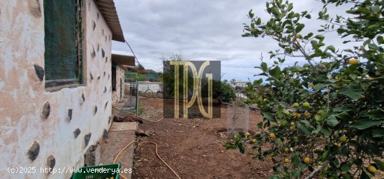 Finca en venta en Guía de Isora (Tenerife)