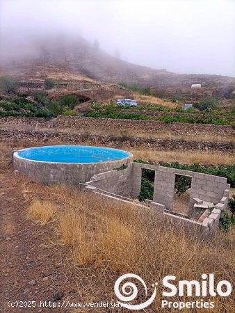  Finca en venta en Granadilla de Abona (Tenerife) 