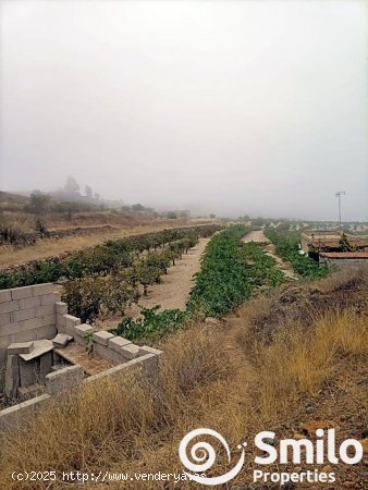 Finca en venta en Granadilla de Abona (Tenerife)