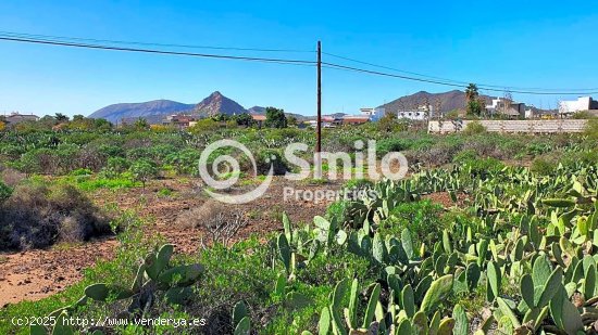 Solar en venta en Arona (Tenerife)