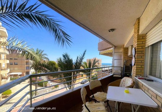 Apartamento en venta en Guardamar del Segura (Alicante)