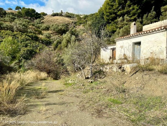 Finca en venta en Frigiliana (Málaga)