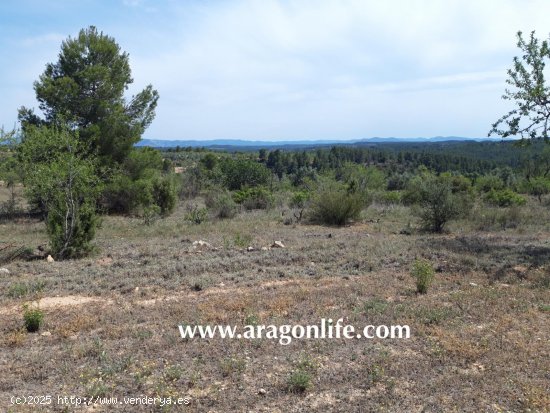  Finca en venta en Calaceite (Teruel) 