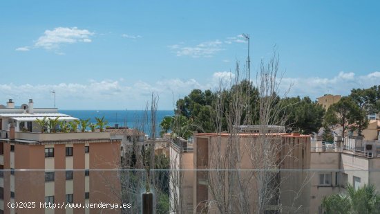 Piso en venta en Palma de Mallorca (Baleares)