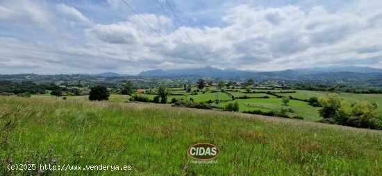  Finca en venta en Oviedo (Asturias) 