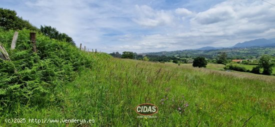 Finca en venta en Oviedo (Asturias)