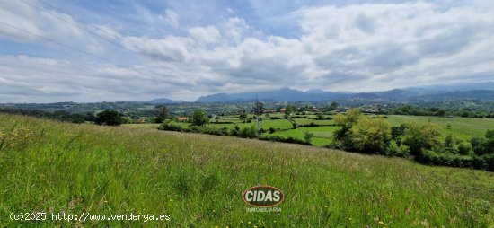 Finca en venta en Oviedo (Asturias)