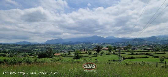 Finca en venta en Oviedo (Asturias)