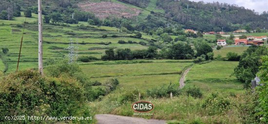 Finca en venta en Oviedo (Asturias)