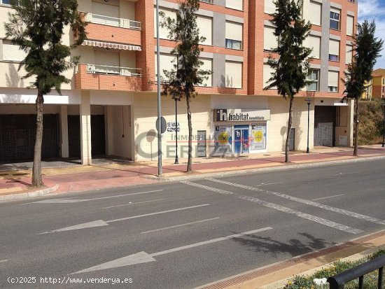 Local en alquiler en Torre del Mar (Málaga)