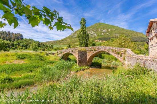 Casa en venta en Monreal (Navarra)