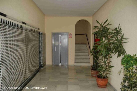 Apartamento en alquiler en Nerja (Málaga)