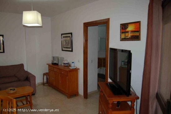 Apartamento en alquiler en Nerja (Málaga)