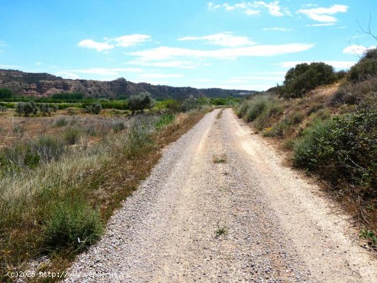 Finca en venta en Fabara (Zaragoza)