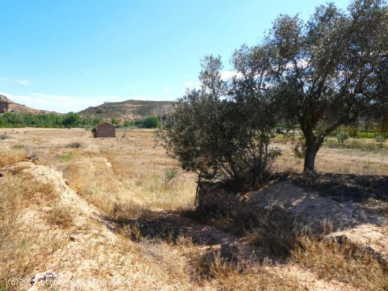 Finca en venta en Fabara (Zaragoza)