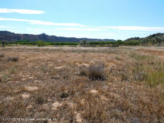 Finca en venta en Fabara (Zaragoza)