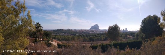  Parcela en venta en Calpe (Alicante) 