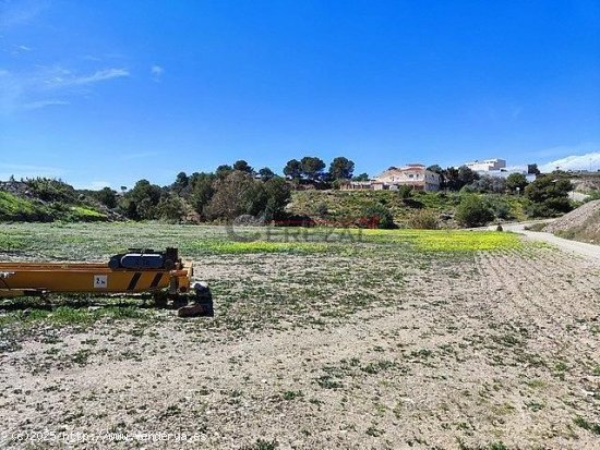 Parcela en alquiler en Almayate (Málaga)