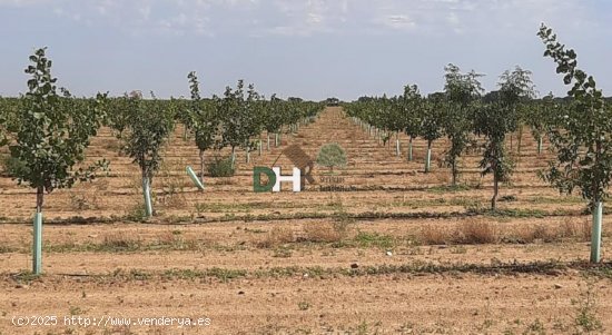  Solar en venta en Ciudad Real (Ciudad Real) 