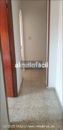 SE ALQUILA PISO PARA ESTUDIANTES/ 4 DORMITORIOS/MENENDEZ PIDAL/ 900€