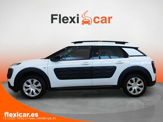 Citroën C4 Cactus BlueHDi 73KW (100CV) Feel - Badajoz