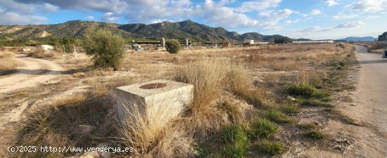 SE VENDE TERRENO EN LOS VERGELES (ABARAN) - MURCIA