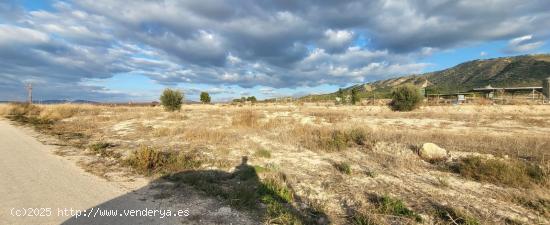 SE VENDE TERRENO EN LOS VERGELES (ABARAN) - MURCIA