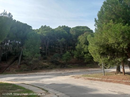  Parcela de 12.000 m2 esquina con C/ Jaras - MADRID 