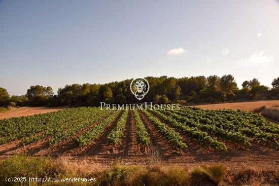 Terreno orientado a sur a la venta en Can Pere de La Plana - BARCELONA