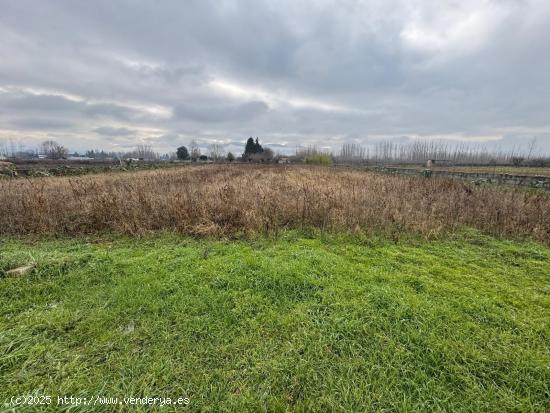 SE VENDE CASA DE APEROS DE BLOQUE DE 40M2 CON UNA FINCA DE 2300 M2. - LEON