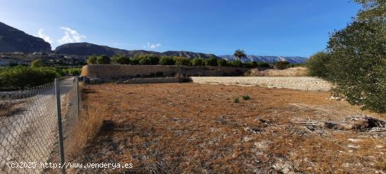 TERRENO RUSTICO EN ORXETA - ALICANTE