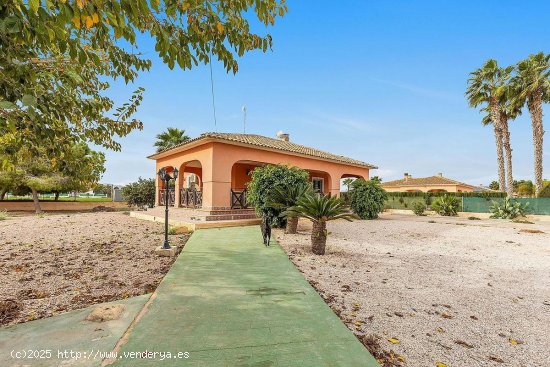 Villa en venta en Dolores (Alicante)