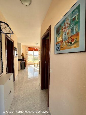 Apartamento en alquiler en Torrox (Málaga)