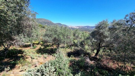 Casa en venta en Linares de la Sierra (Huelva)