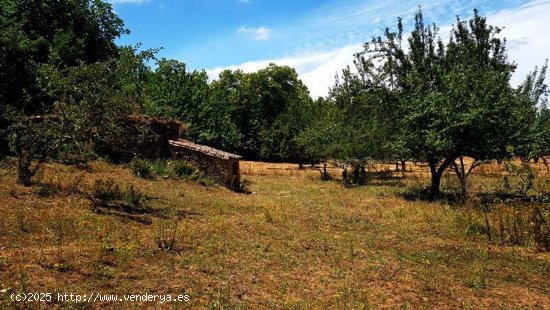  Solar en venta en Fuenteheridos (Huelva) 