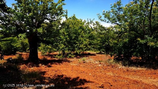 Solar en venta en Fuenteheridos (Huelva)