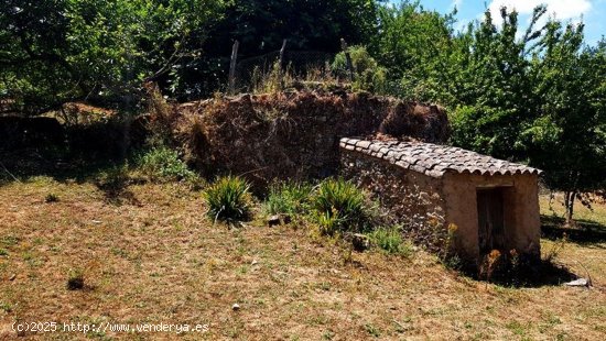 Solar en venta en Fuenteheridos (Huelva)