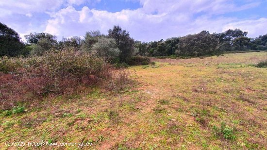 Solar en venta en Castaño del Robledo (Huelva)