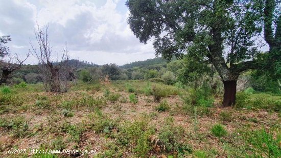 Solar en venta en Castaño del Robledo (Huelva)