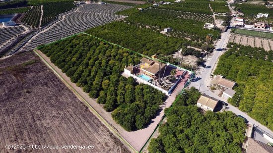 Finca en venta en Orihuela (Alicante)