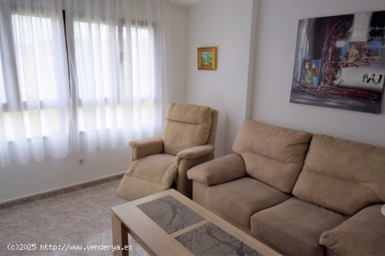  Apartamento en alquiler en Guardamar del Segura (Alicante) 